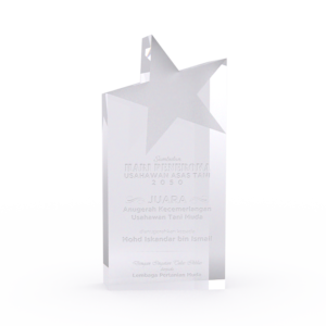 Star Achiever Crystal